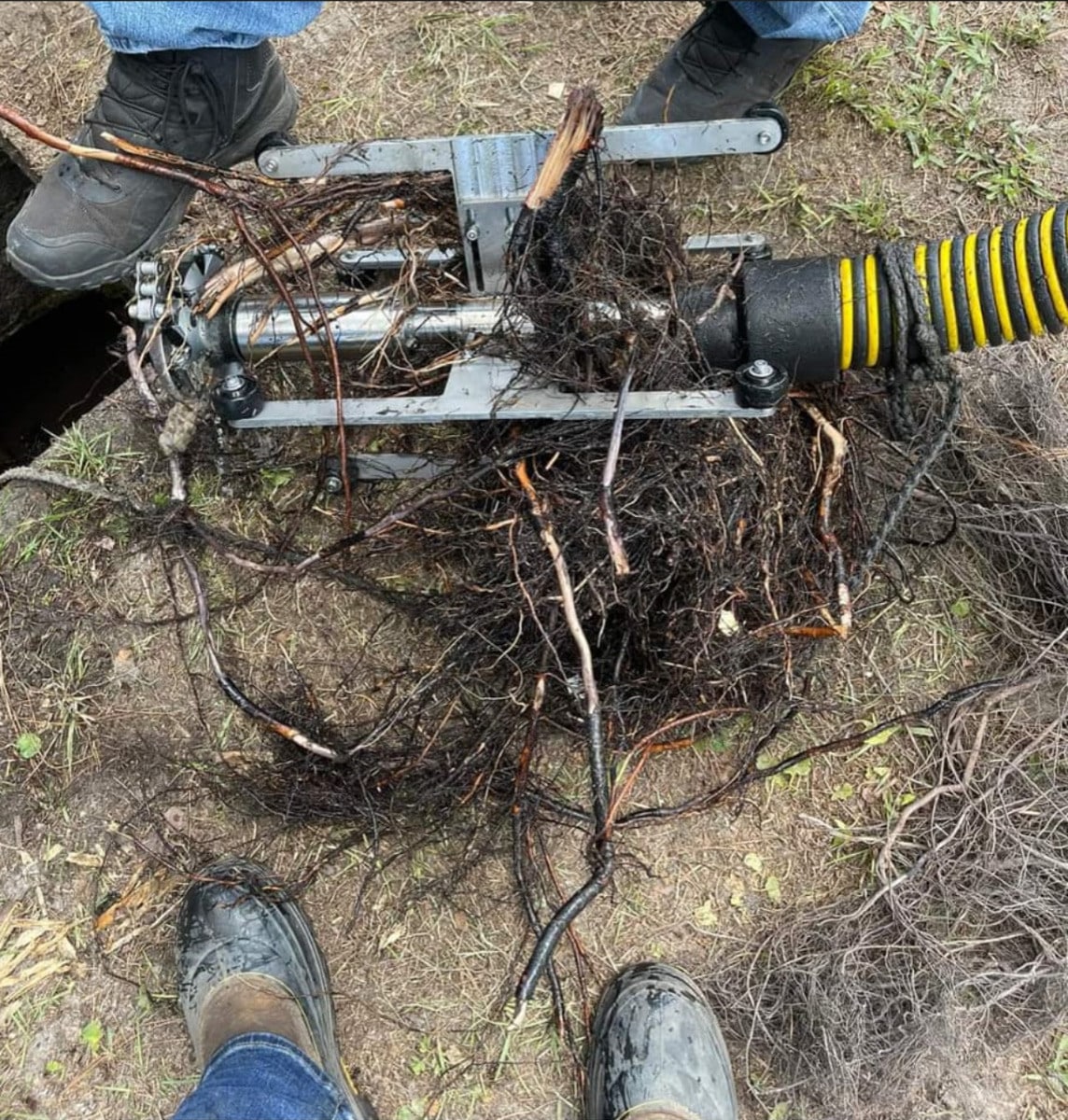 Tree root removal from a blocked sewer drain in Sydney using professional drain cutting equipment